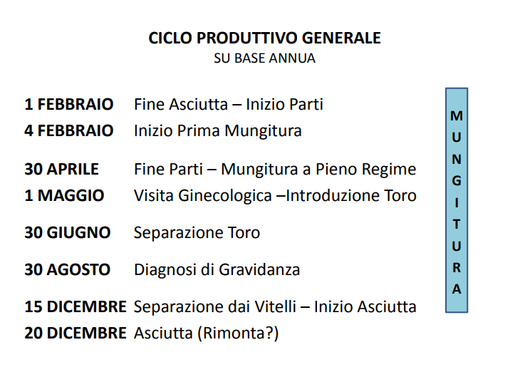 Ciclo produttivo